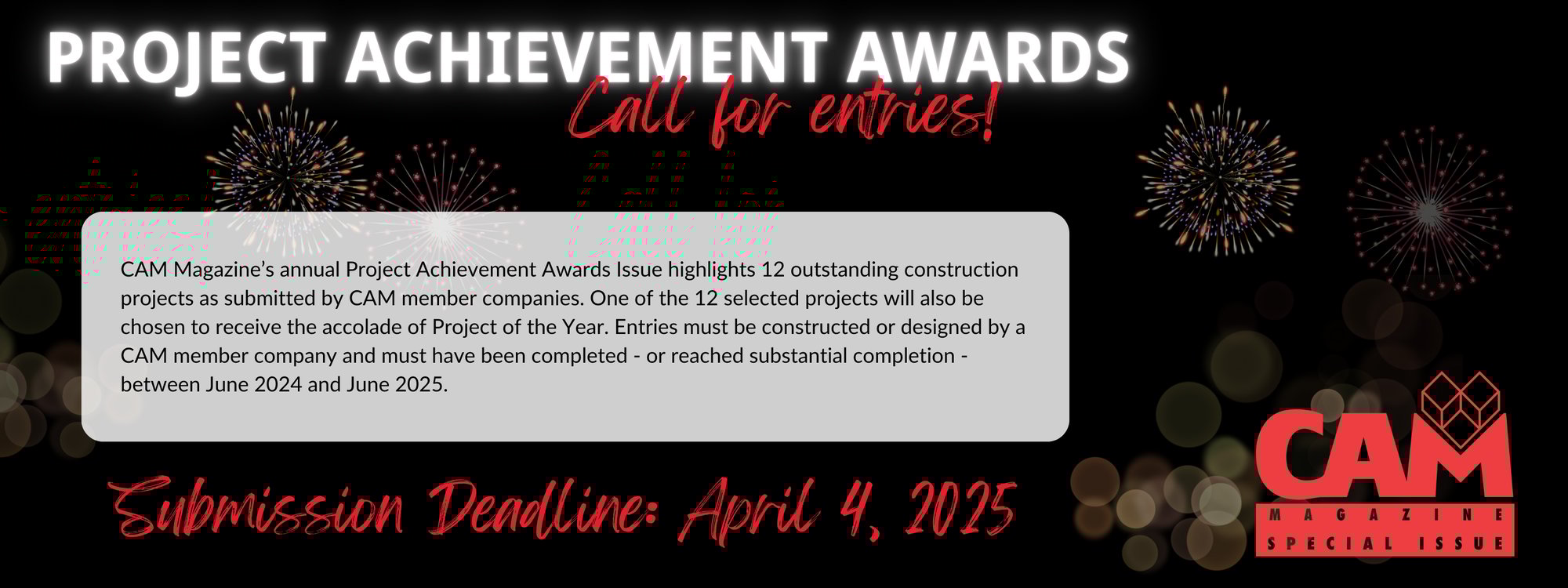 2025 Project Achievement